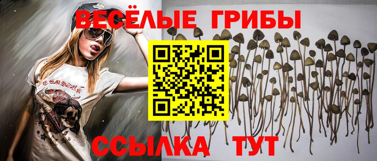 Псилоцибиновые грибы Psilocybine cubensis  Вход с VPN  цена наркотик  Галлюциногенные грибы GOLDEN TEACHER  Лобня 
