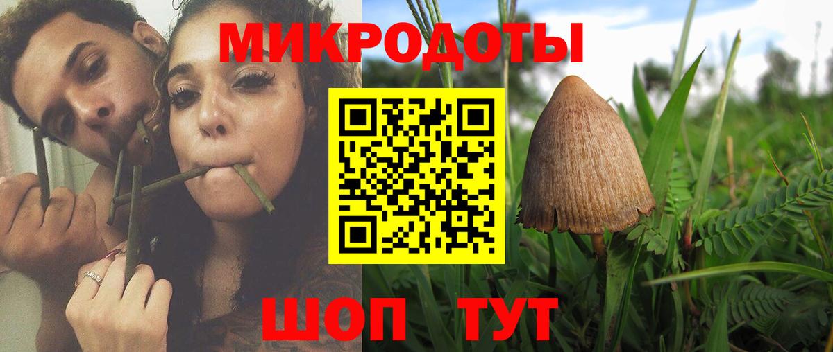 МЕФ Лобня